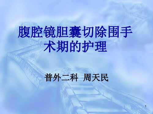 腹腔镜胆囊切除围手术期的护理PPT课件