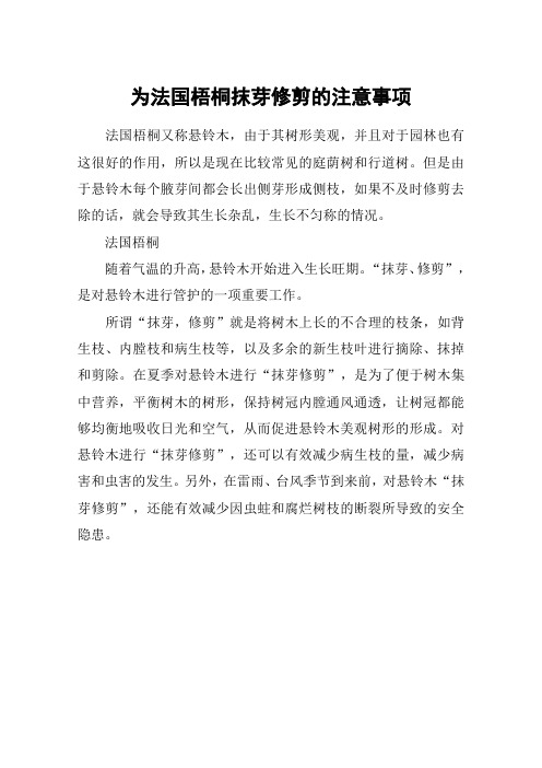 为法国梧桐抹芽修剪的注意事项