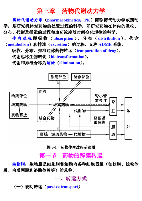 药物代谢动力学药动学