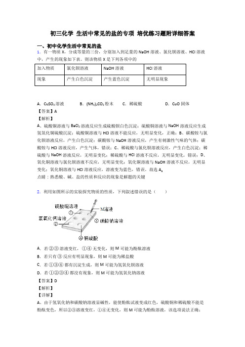 初三化学 生活中常见的盐的专项 培优练习题附详细答案