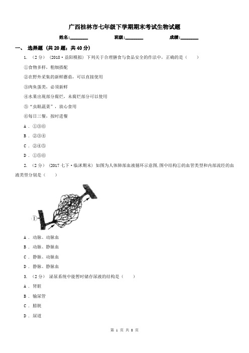 广西桂林市七年级下学期期末考试生物试题