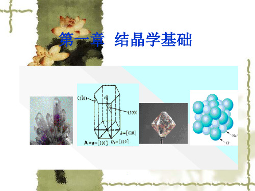 《结晶学基础》