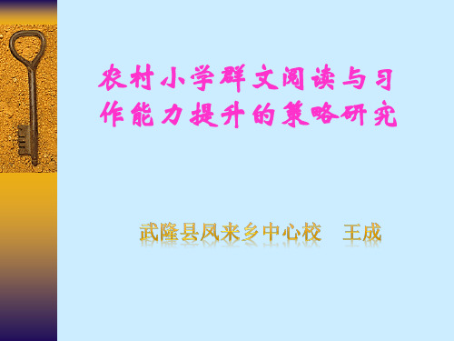 农村小学群文阅读与习作能力提升的策略研究