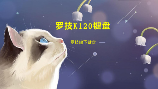 罗技K120键盘