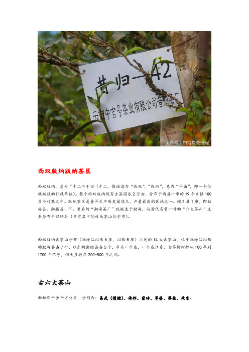 云南普洱茶名山大全