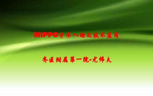 MIPPO手术入路及技术应用