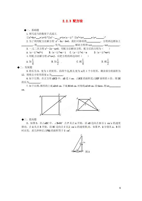 广东省河源市中英文实验学校九年级数学上册 2.2.3 配