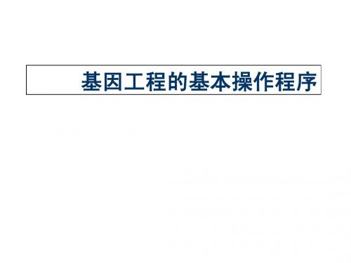 高中生物选修1.2基因工程的基本操作程序