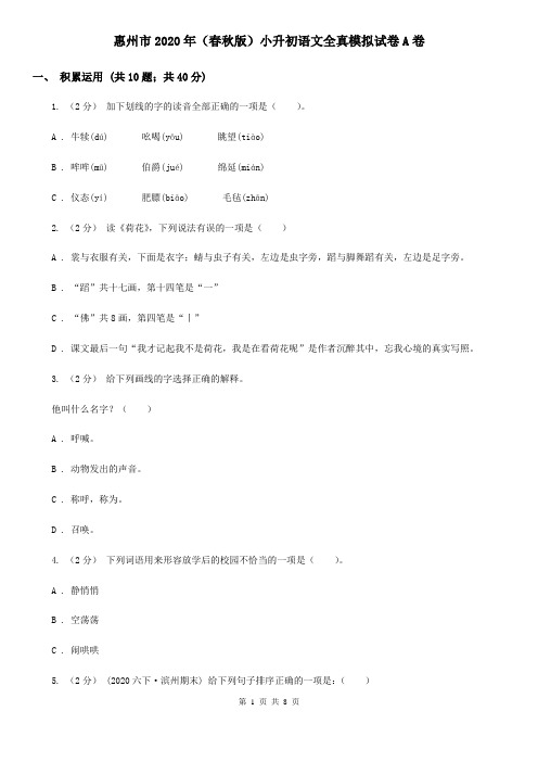 惠州市2020年(春秋版)小升初语文全真模拟试卷A卷