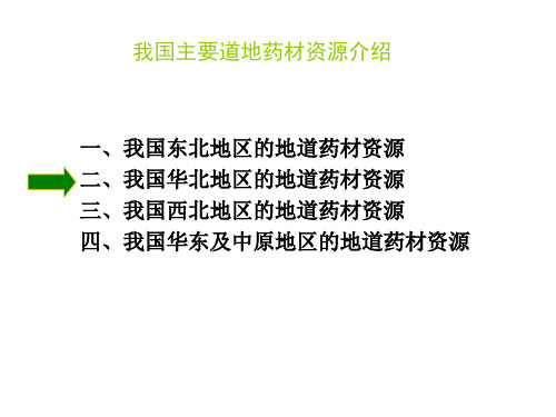 地道药材课件-2