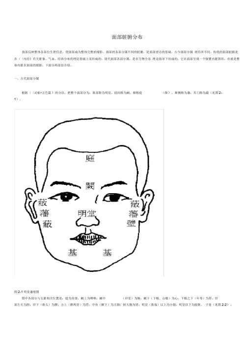 面部脏腑分布