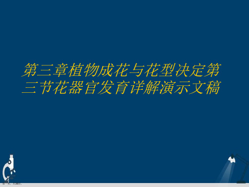 第三章植物成花与花型决定第三节花器官发育详解演示文稿