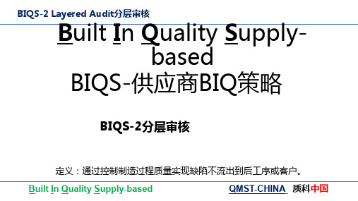 BIQS-2分层审核