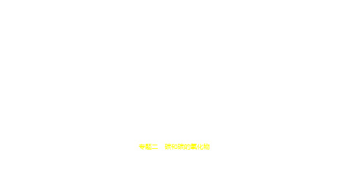 2021年山东中考化学复习练习课件：02专题二 碳和碳的氧化物