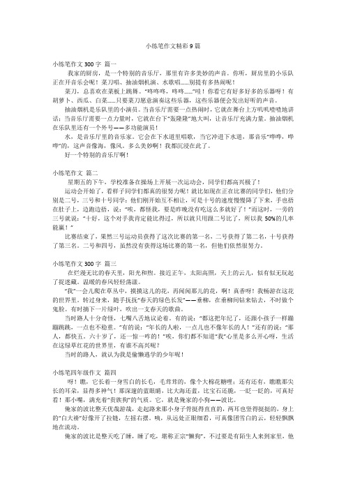 小练笔作文精彩9篇