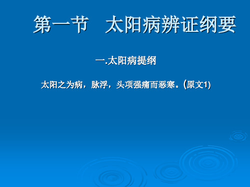 伤寒论课件：第一节   太阳病辨证纲要