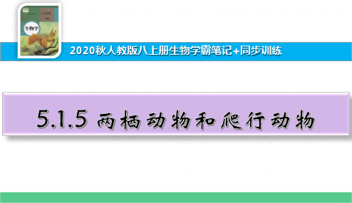 八上生物学霸笔记+同步训练5.1.5两栖动物和爬行动物