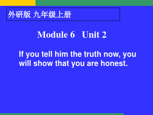 外研英语九年级上册Module 6 Unit 2 (共25张PPT)