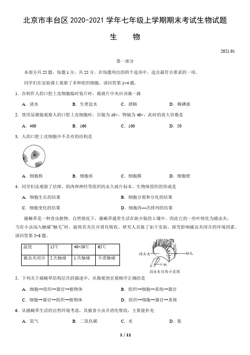 2020-2021学年七年级上学期期末考试生物试题(word版,含答案)