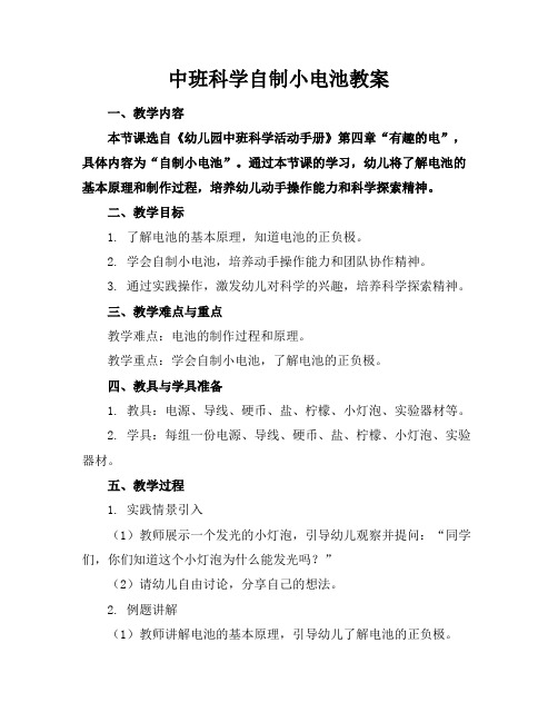 中班科学自制小电池教案