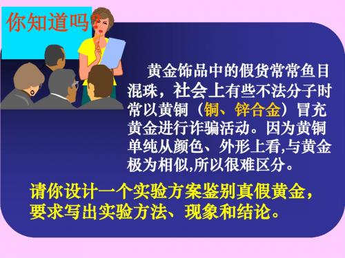 实验的设计和评价PPT课件 人教版