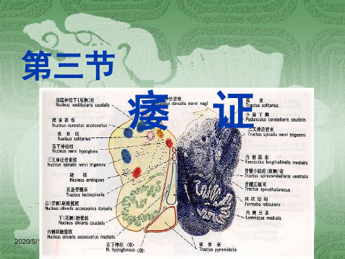 中医内科学--第三节  痿    证