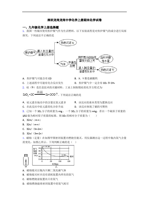 深圳龙岗龙岗中学化学初三化学上册期末化学试卷