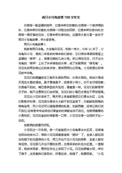 两只小乌龟故事700字作文