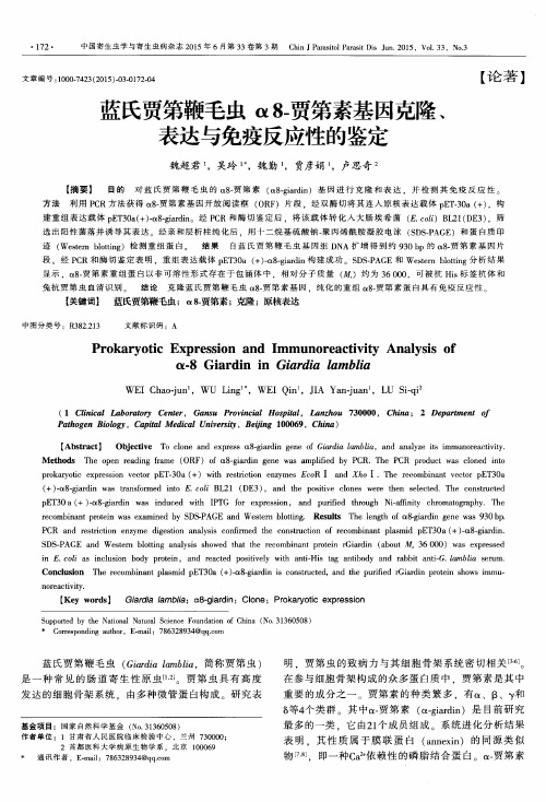 蓝氏贾第鞭毛虫α8-贾第素基因克隆、表达与免疫反应性的鉴定