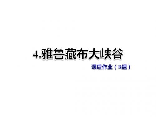 五年级上册语文课件-第2单元4. 雅鲁藏布大峡谷 课后作业(B组)-北师大版