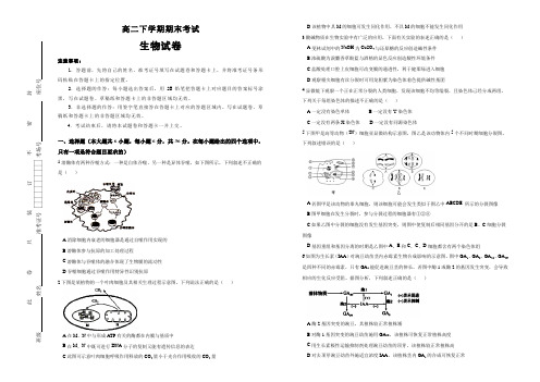 高二下学期期末考试生物试卷及详细答案解析04