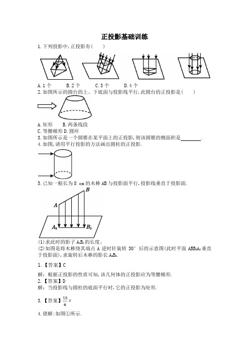 初中数学 投影基础训练