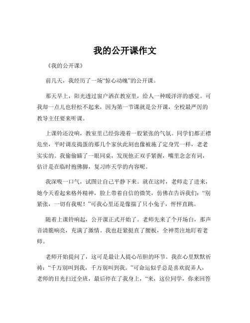 我的公开课作文