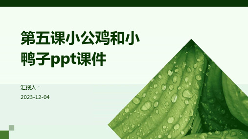 第五课小公鸡和小鸭子ppt课件