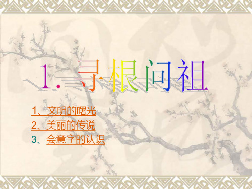 北师大版品德与社会五上《寻根问祖》PPT课件
