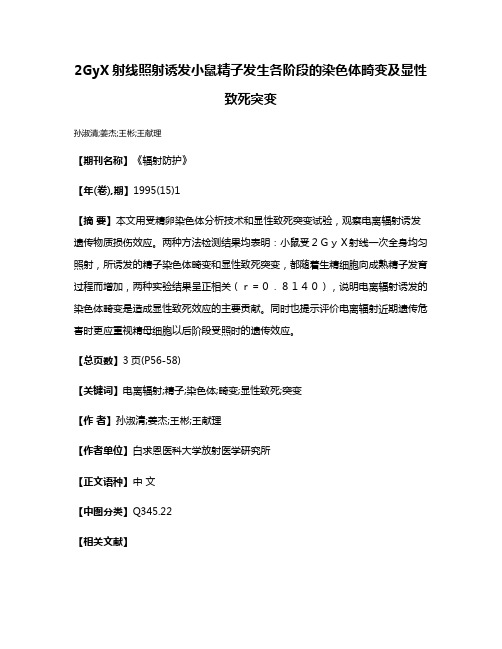 2GyX射线照射诱发小鼠精子发生各阶段的染色体畸变及显性致死突变