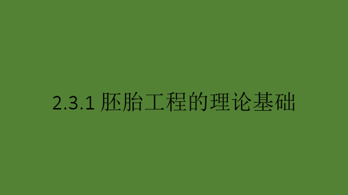 2.3.1胚胎工程的理论基础(教学课件)-高中生物人教版(2019)选择性必修3