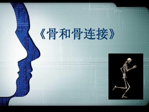 说课课件-骨和骨连接
