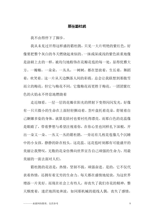 那丛簕杜鹃_初二作文