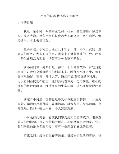 小河的自述 优秀作文800字