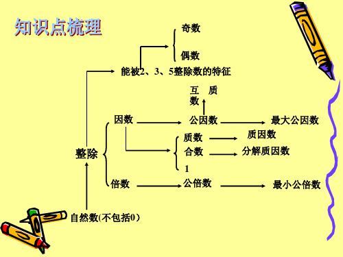 数的认识二因数与倍数总复习