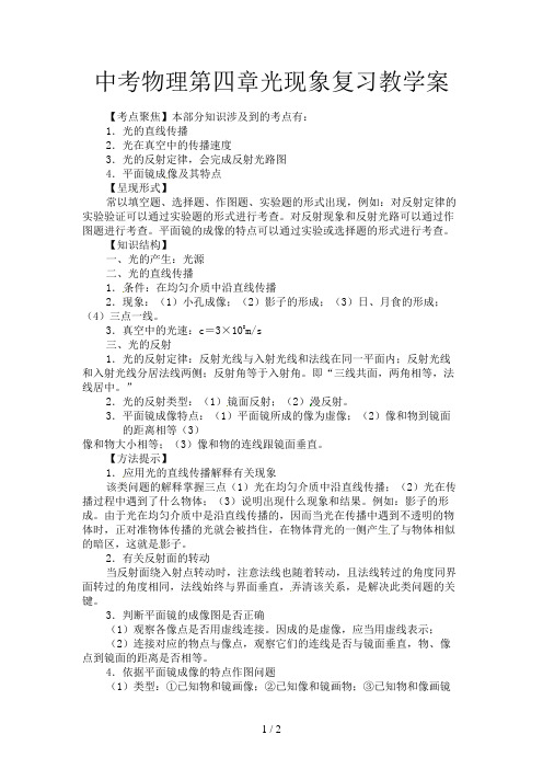 中考物理第四章光现象复习教学案