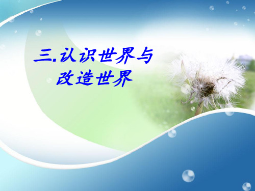 马原课堂展示——认识世界与改变世界