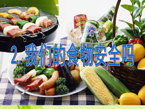 《我们的食物安全吗》PPT课件下载苏教版科学1