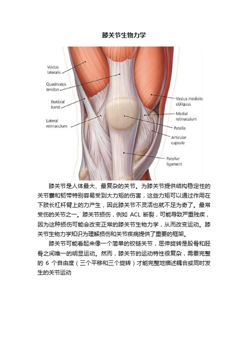 膝关节生物力学