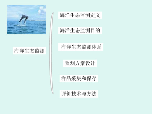 海洋环境监测技术ppt课件生态监测