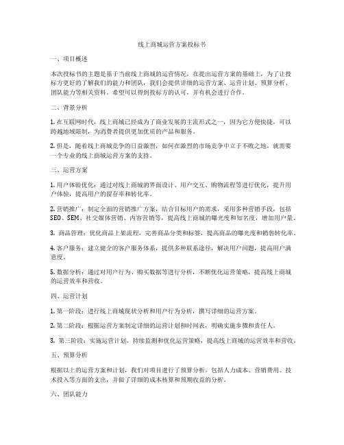 线上商城运营方案投标书