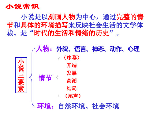 高中语文必修二《祝福》ppt