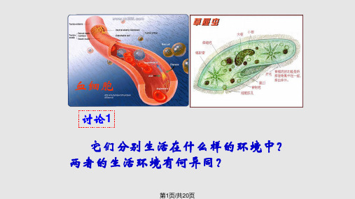 1.1细胞生活的环境PPTPPT课件