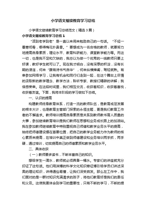 小学语文继续教育学习总结